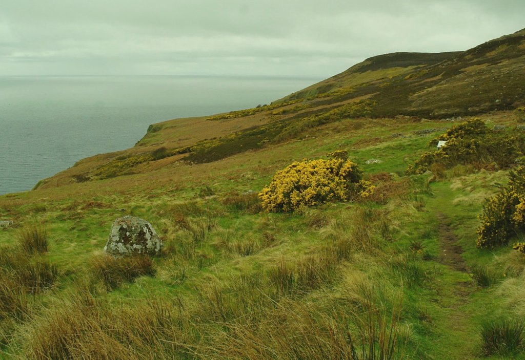 The Highland Clearances