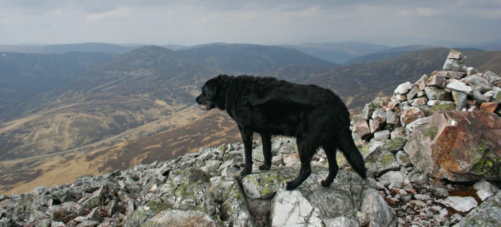 Top of Creag Leacach